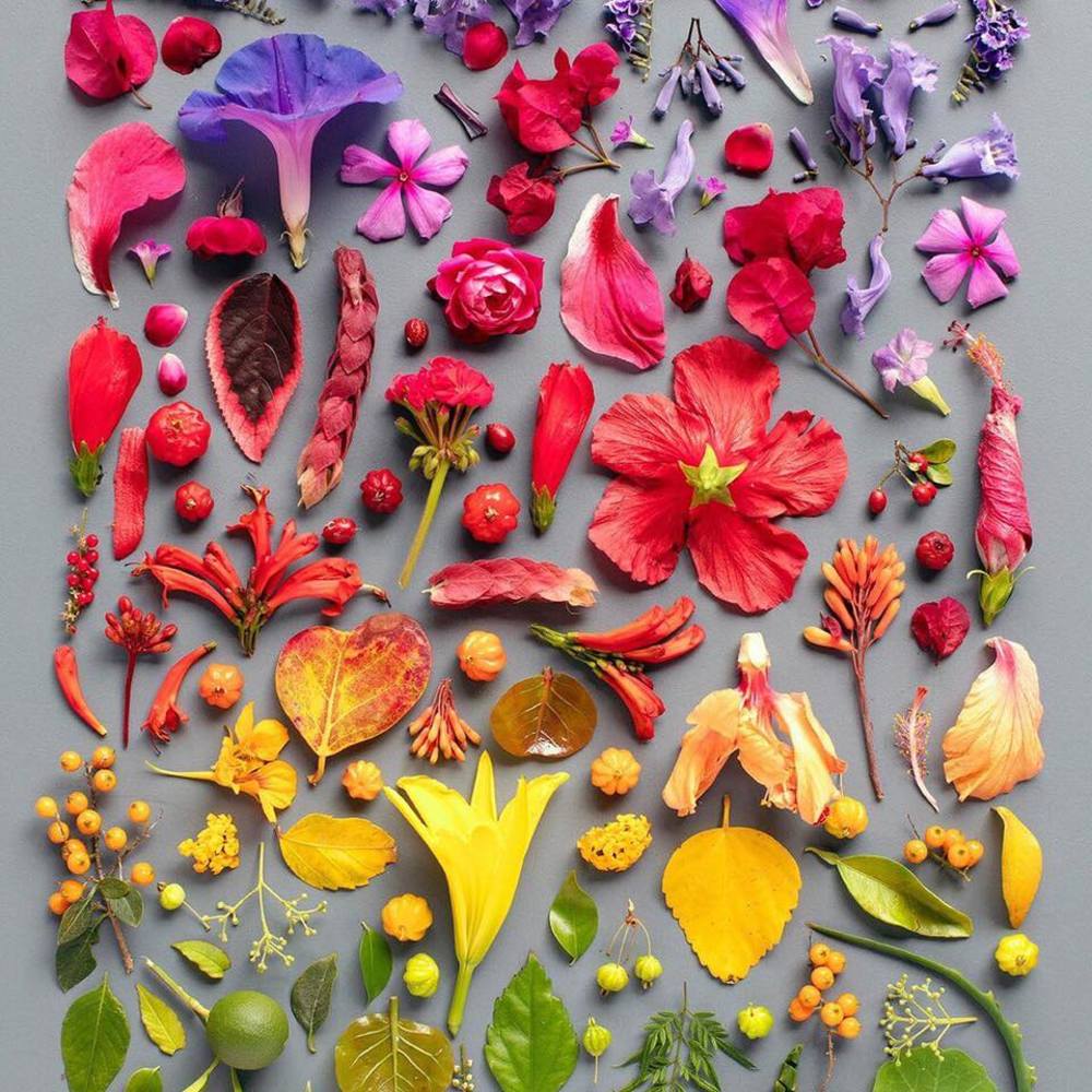 Meet your Posher, Jacqueline